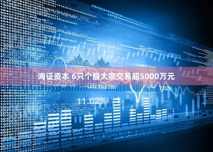 海证资本 6只个股大宗交易超5000万元