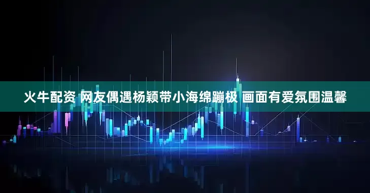 火牛配资 网友偶遇杨颖带小海绵蹦极 画面有爱氛围温馨