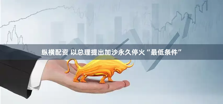 纵横配资 以总理提出加沙永久停火“最低条件”
