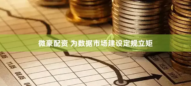 微豪配资 为数据市场建设定规立矩