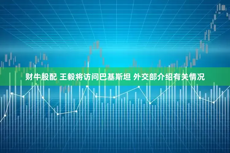 财牛股配 王毅将访问巴基斯坦 外交部介绍有关情况