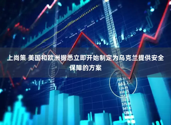 上尚策 美国和欧洲据悉立即开始制定为乌克兰提供安全保障的方案