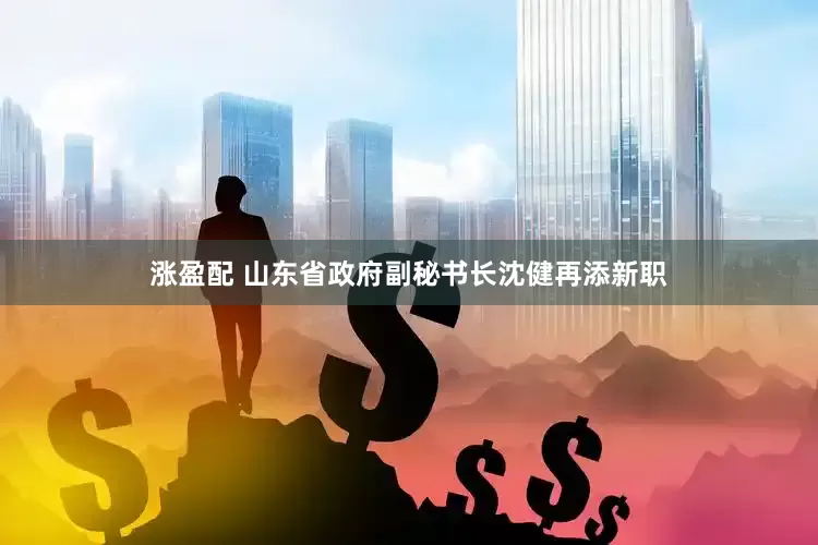 涨盈配 山东省政府副秘书长沈健再添新职