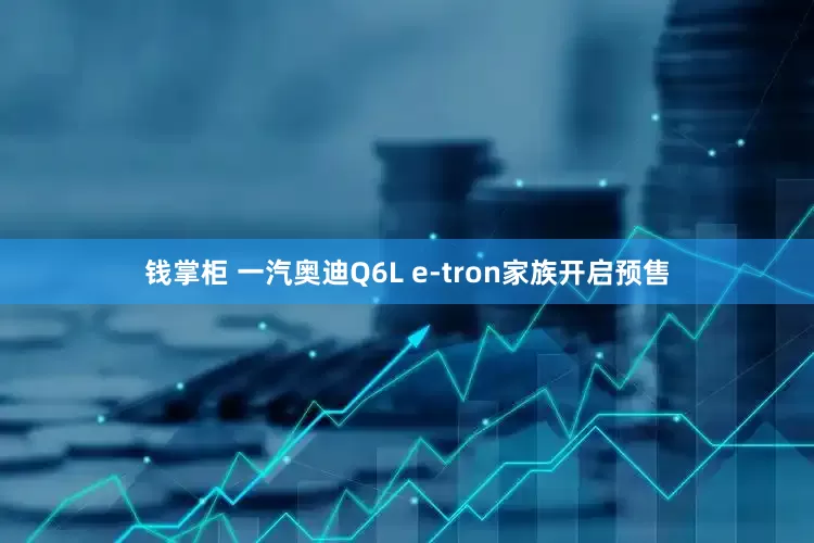 钱掌柜 一汽奥迪Q6L e-tron家族开启预售