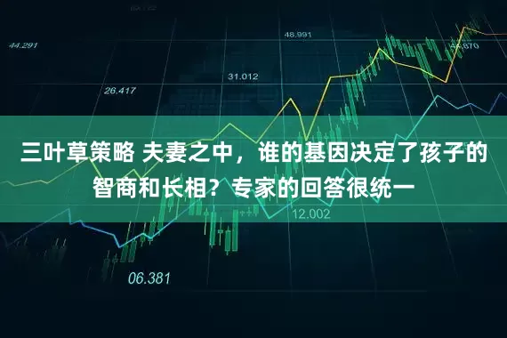 三叶草策略 夫妻之中，谁的基因决定了孩子的智商和长相？专家的回答很统一