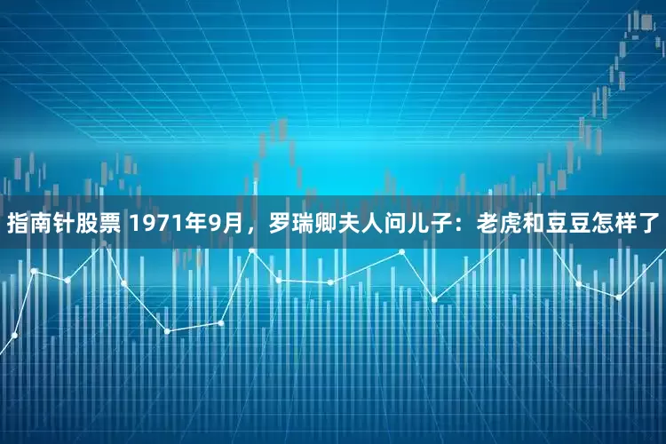 指南针股票 1971年9月,罗瑞卿夫人问儿子:老虎和豆豆怎样了